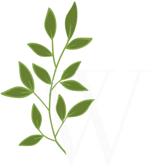 Top Logo